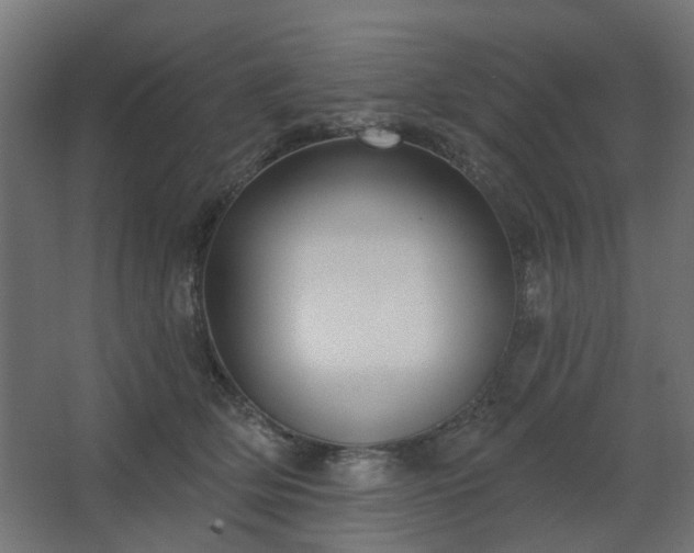 X0000067840514200604201245