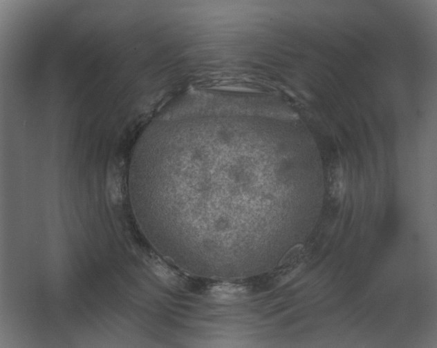 X0000067840515200604201245