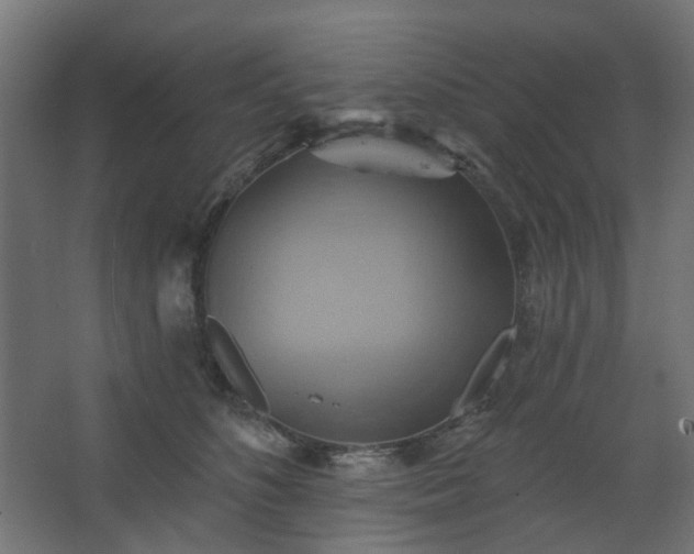 X0000067840516200604201245