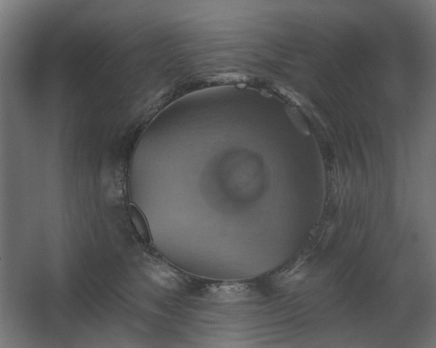 X0000067840517200604201245