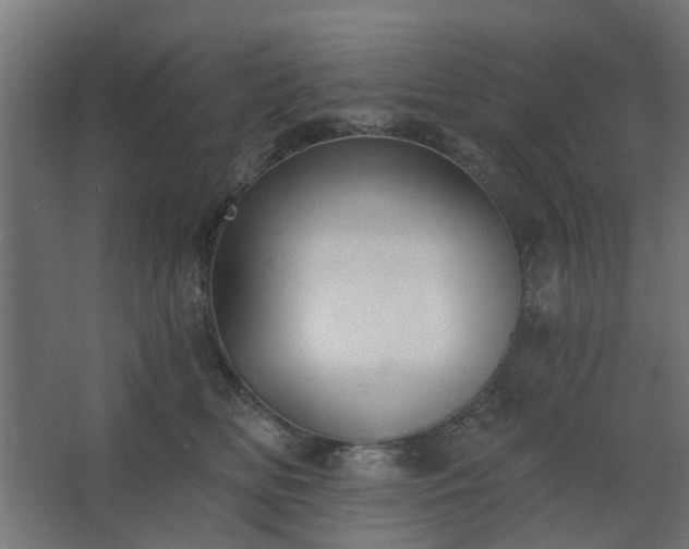 X0000067840518200604201245