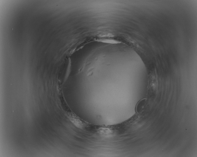 X0000067840519200604201245