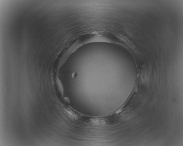 X0000067840520200604201245