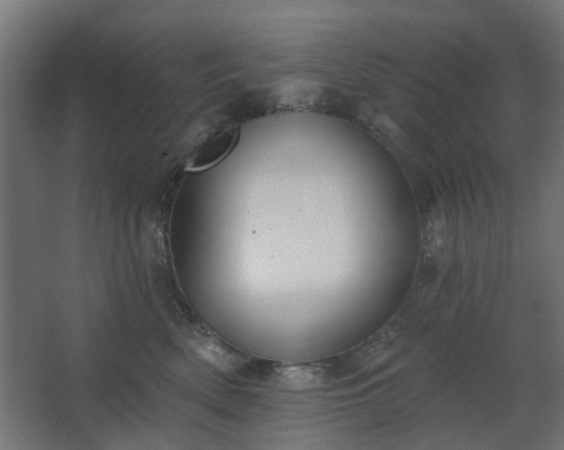 X0000067840522200604201245