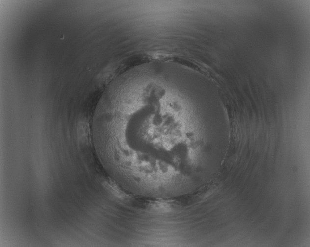 X0000067840523200604201245