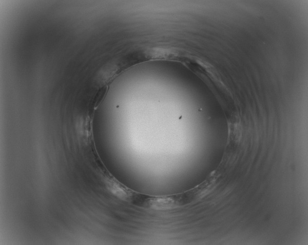 X0000067840525200604201245