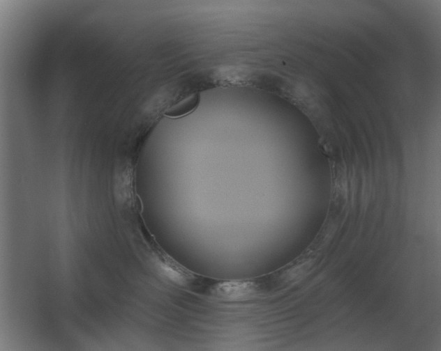 X0000067840526200604201245