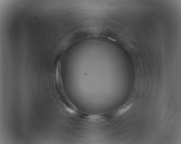 X0000067840528200604201245