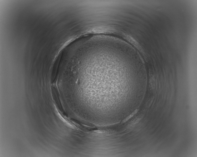 X0000067840530200604201244