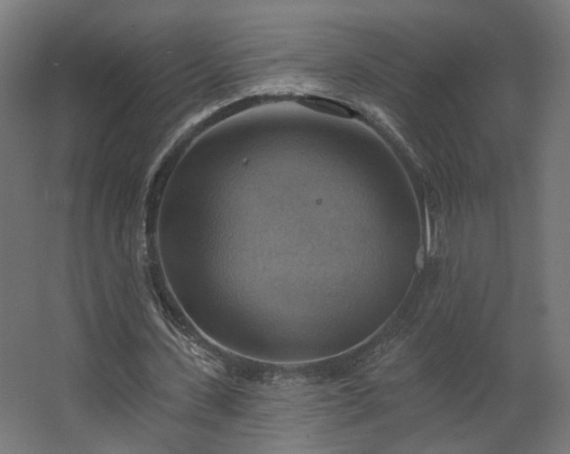 X0000067840531200604201244