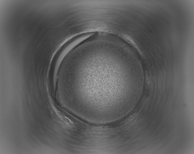 X0000067840532200604201244