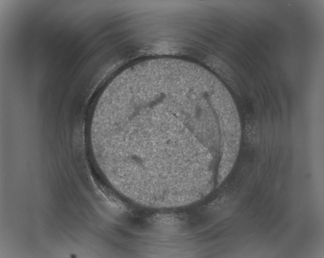 X0000067840534200604201244