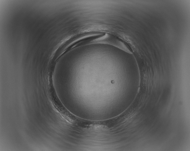 X0000067840539200604201244