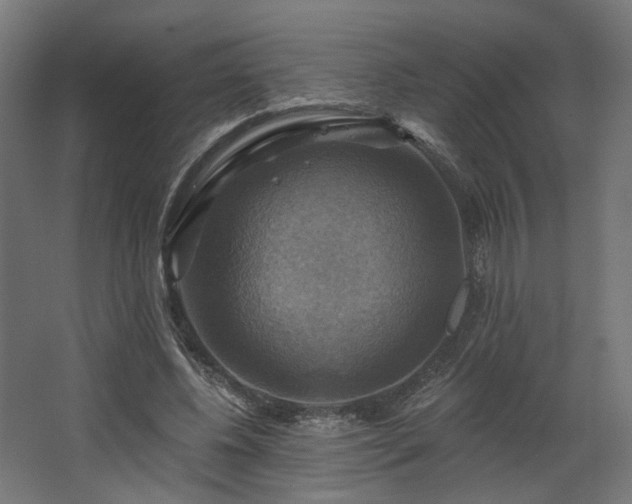 X0000067840540200604201244