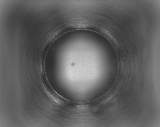 X0000067840541200604201244