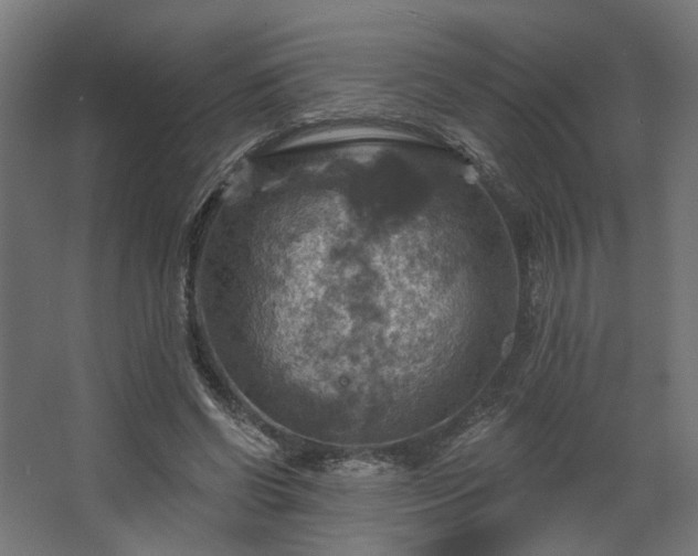 X0000067840542200604201244