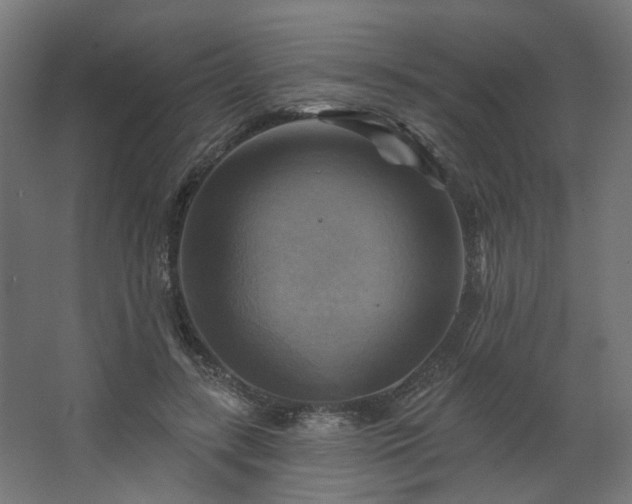 X0000067840547200604201244