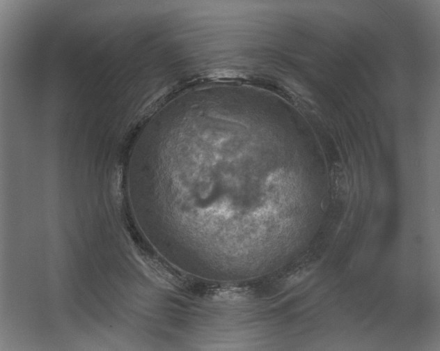 X0000067840550200604201244