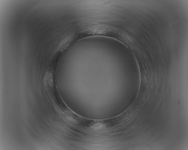 X0000067840551200604201244