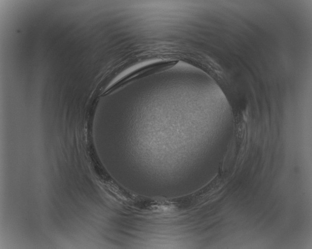 X0000067840552200604201244