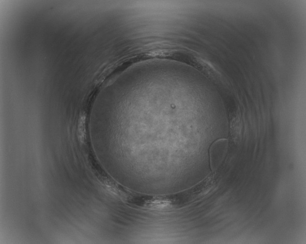 X0000067840554200604201244