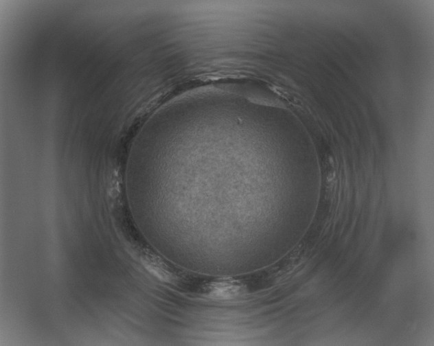 X0000067840555200604201244