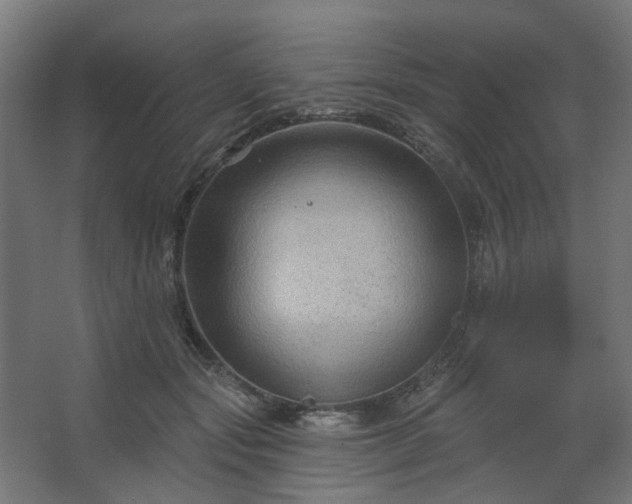 X0000067840557200604201244