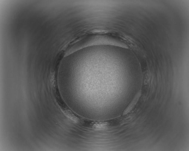 X0000067840560200604201244