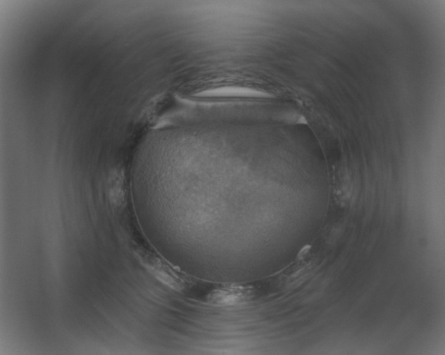 X0000067840563200604201244