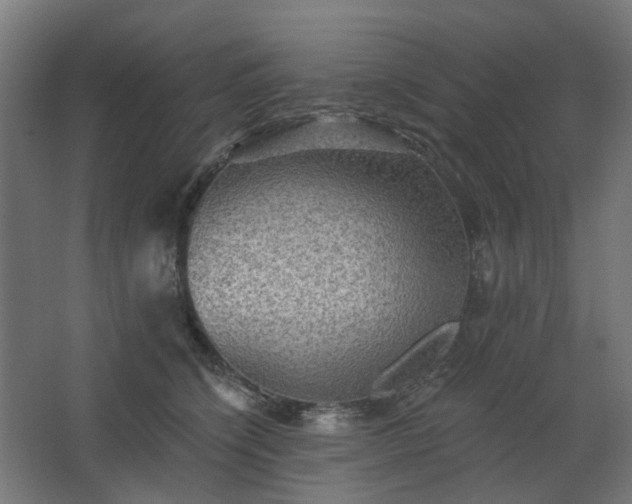 X0000067840564200604201244