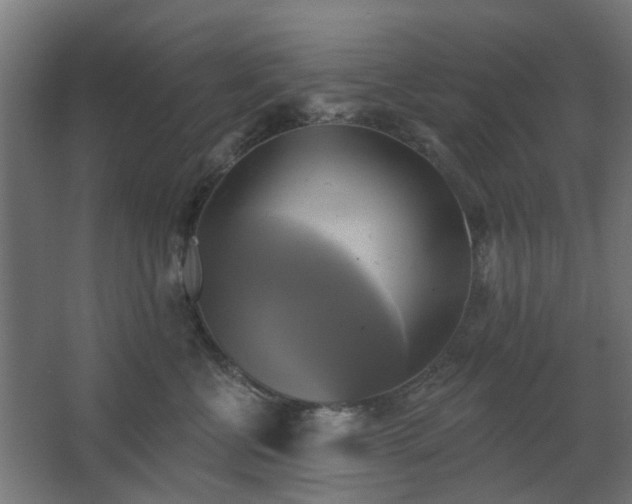 X0000067840570200604201244