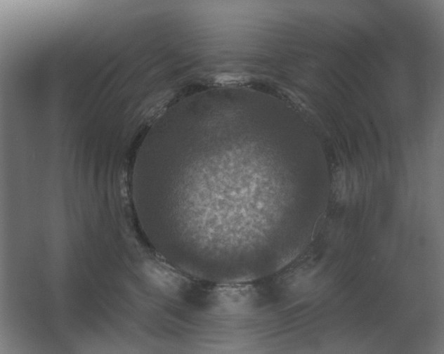 X0000067840571200604201244