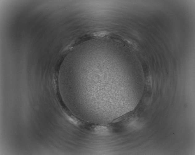 X0000067840572200604201244