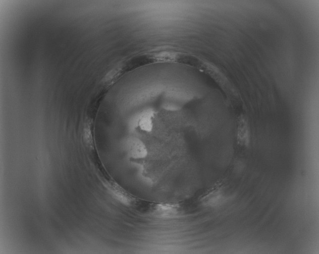 X0000067840573200604201244