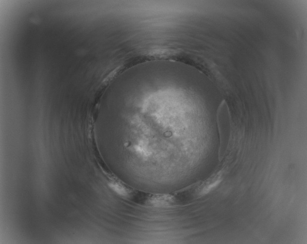 X0000067840576200604201245