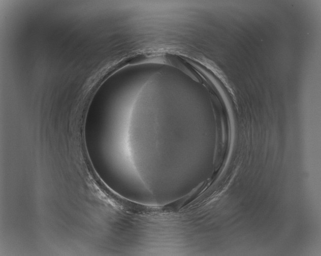 X0000067840577200604201244