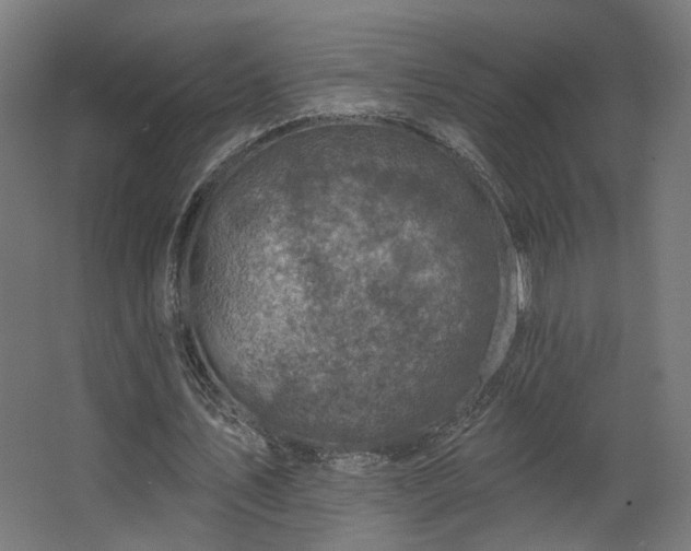 X0000067840579200604201244