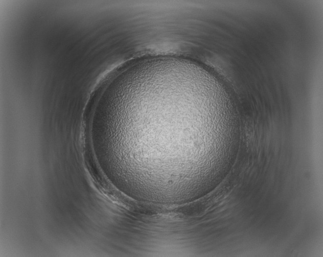 X0000067840583200604201244