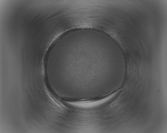 X0000067840584200604201244