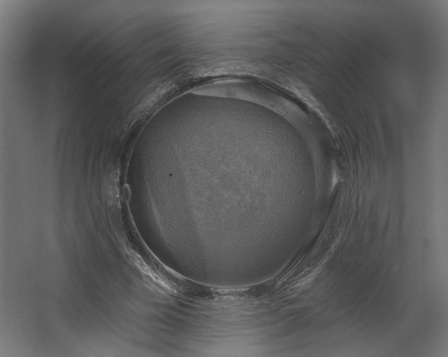 X0000067840585200604201244