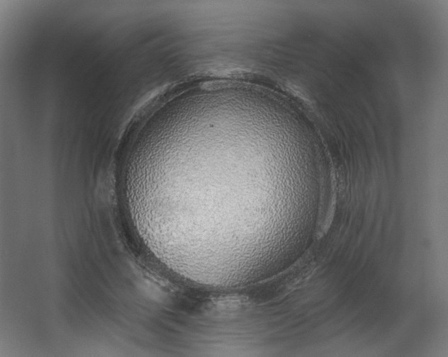 X0000067840587200604201244