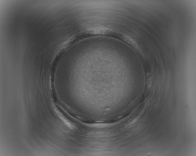 X0000067840589200604201243