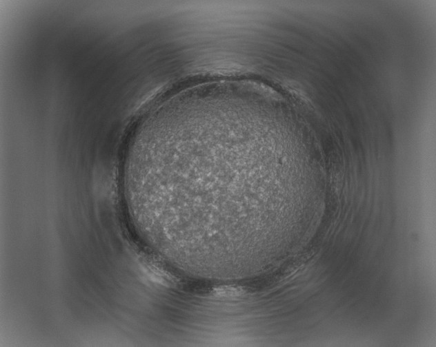 X0000067840591200604201243