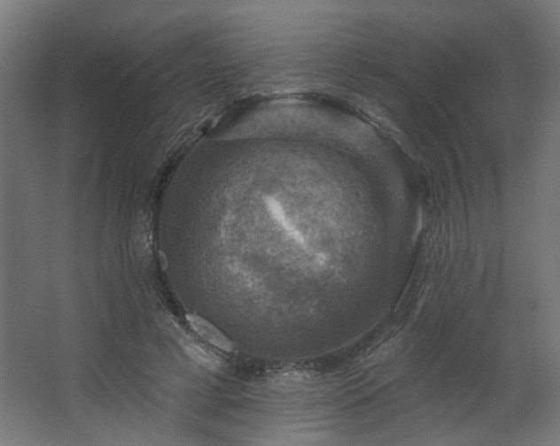 X0000067840593200604201243