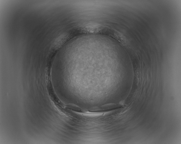 X0000067840594200604201243