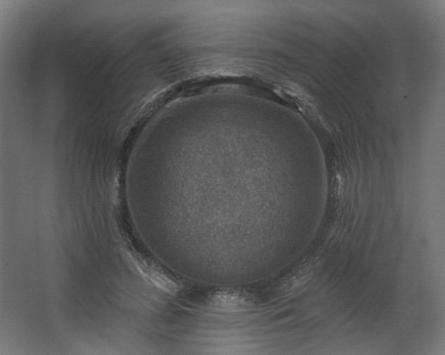 X0000067840596200604201243