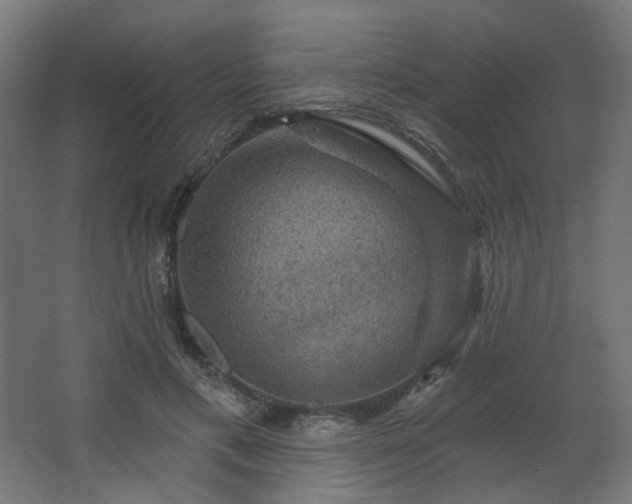 X0000067840597200604201243