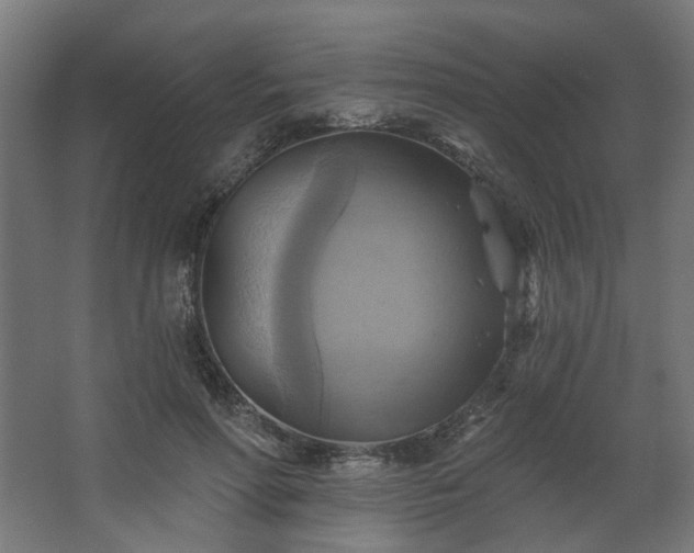 X0000067840598200604201243