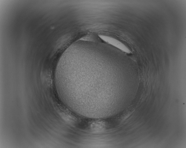 X0000067840599200604201243