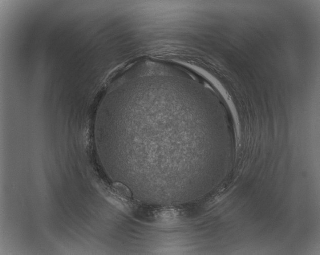 X0000067840600200604201243